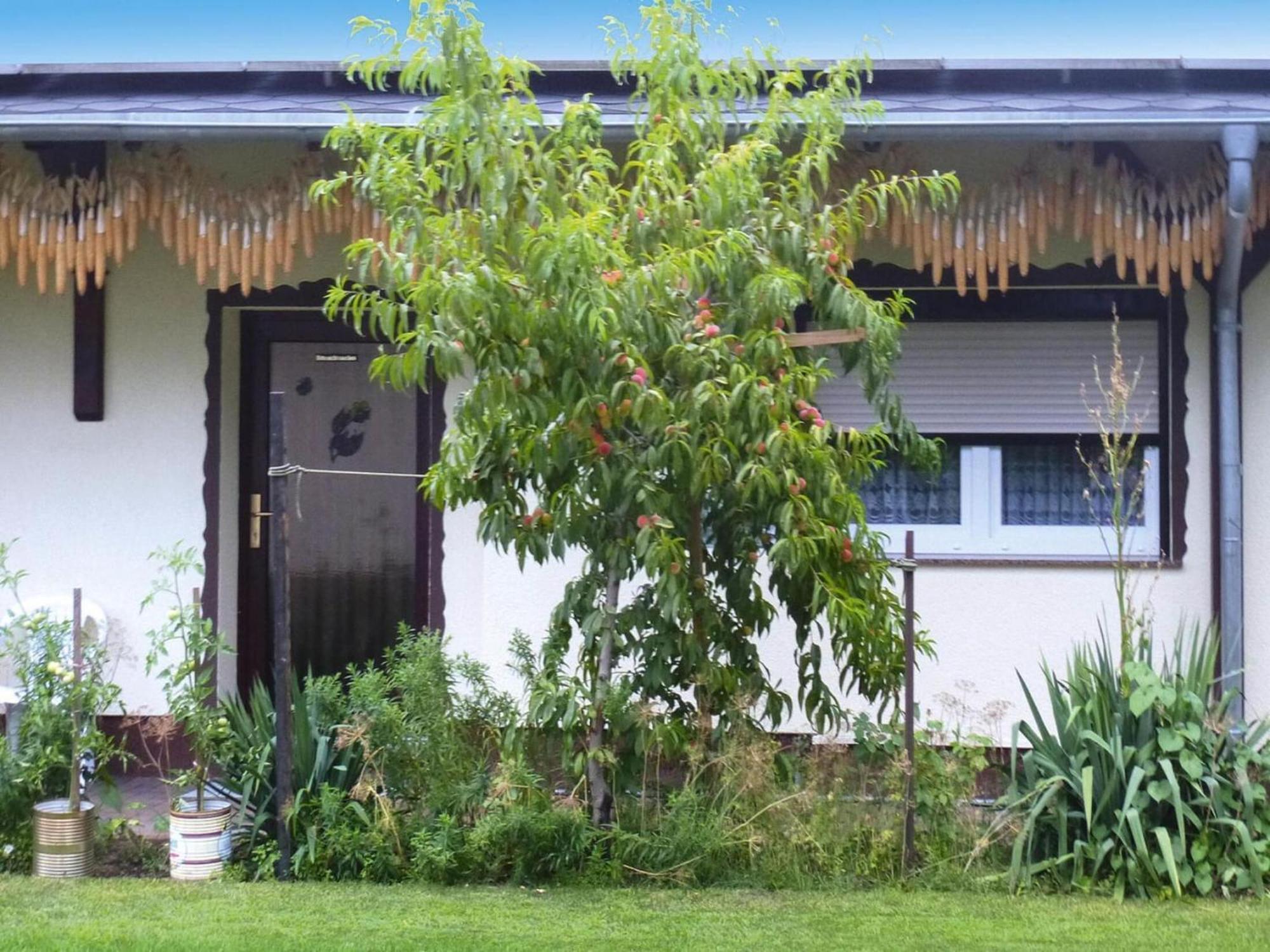 Bungalow In L Bben With A Terrace 吕本 外观 照片